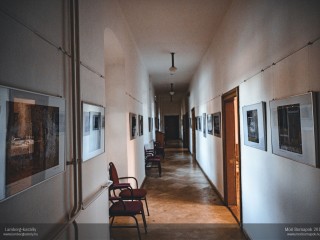 Móri Bornapok (2019) válogatás