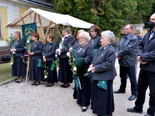 Móri Bornapok 2020 (válogatás)