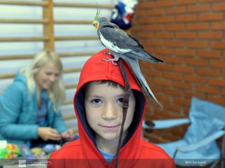 Móri Bornapok 2022 (válogatás)