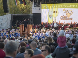 Móri Bornapok (2018) válogatás