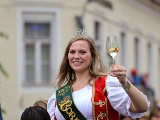 Móri Bornapok (2018) válogatás